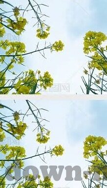 电脑看足球比分-电脑看足球比分，一场跨越屏幕的激情盛宴